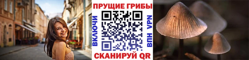 Купить  Еманжелинск  Галлюциногенные грибы MAGIC MUSHROOMS 